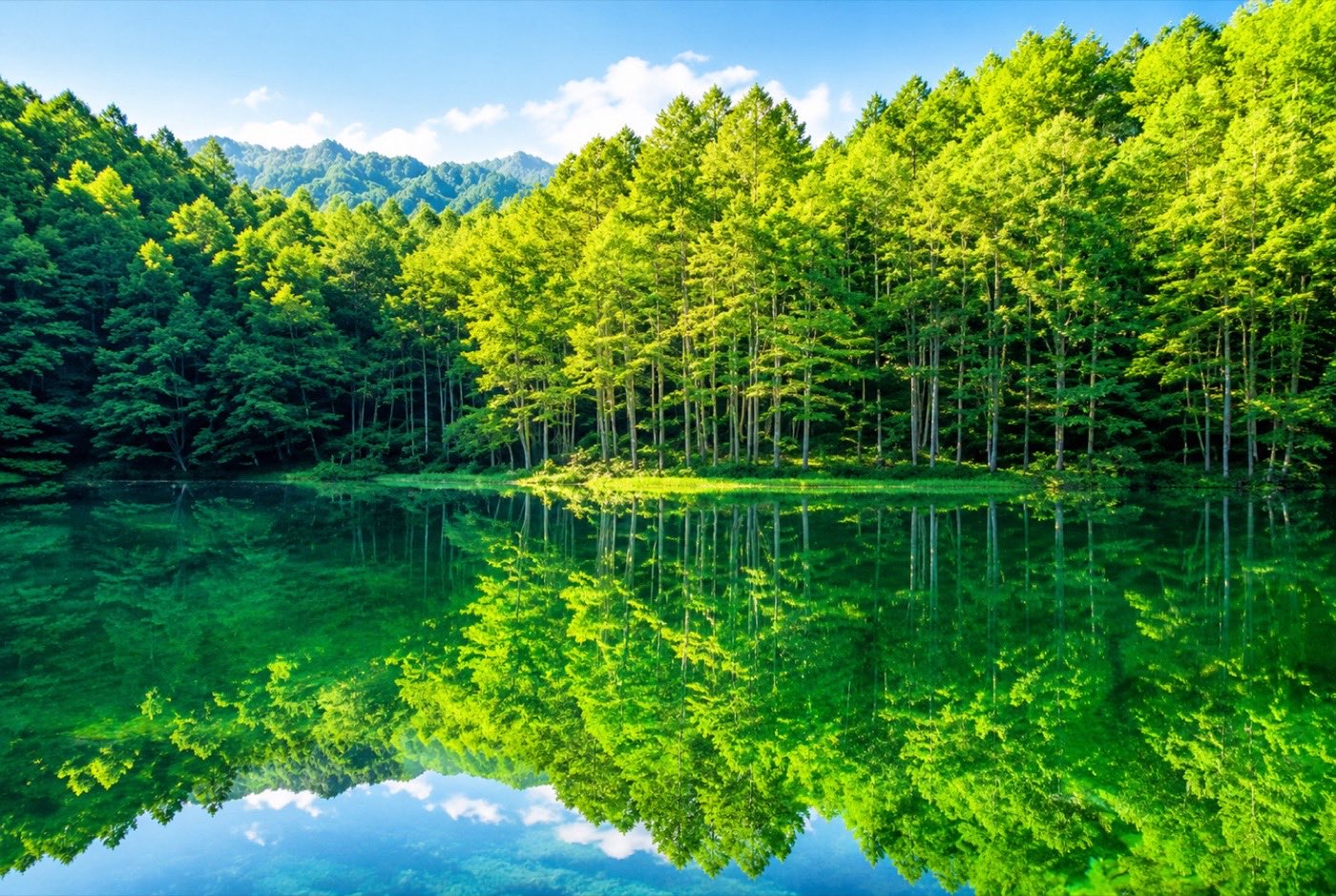 Nature & Seasonal Beauty