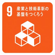 SDG 9